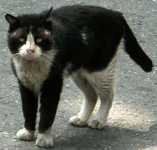 DSCF2369.JPG