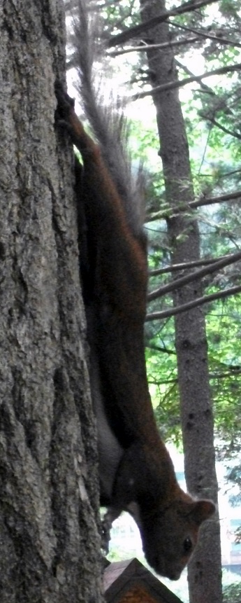 DSCF3870.JPG