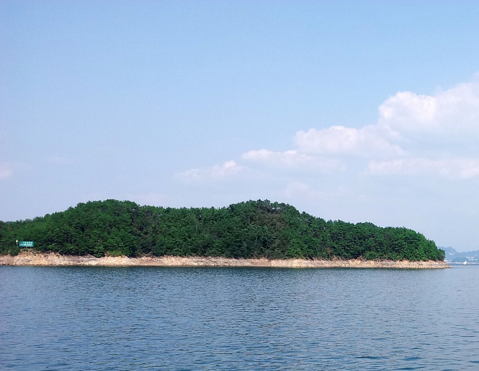 20130901_142842.jpg