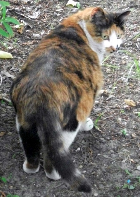 DSCF3710.JPG