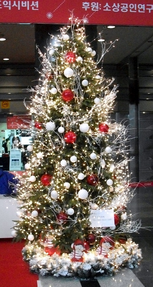 DSCF7235.JPG