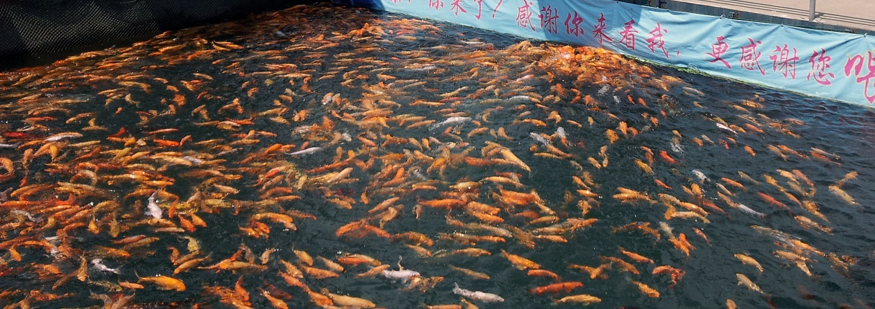 20130901_113406.jpg