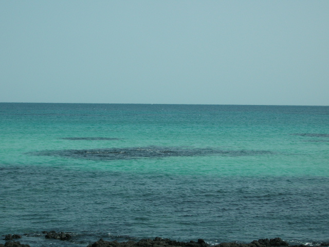 DSCF6890.JPG