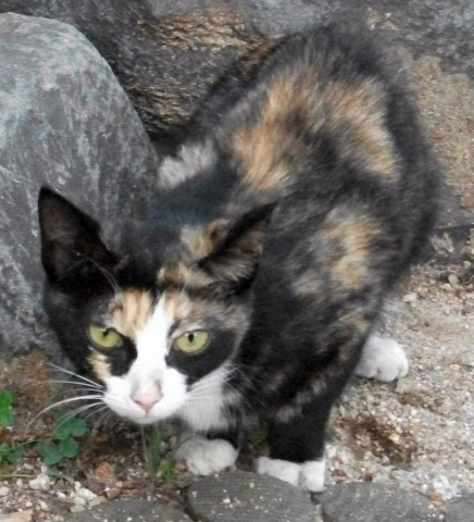 DSCF4998.JPG