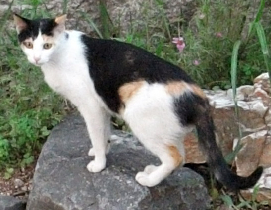 DSCF4991.JPG
