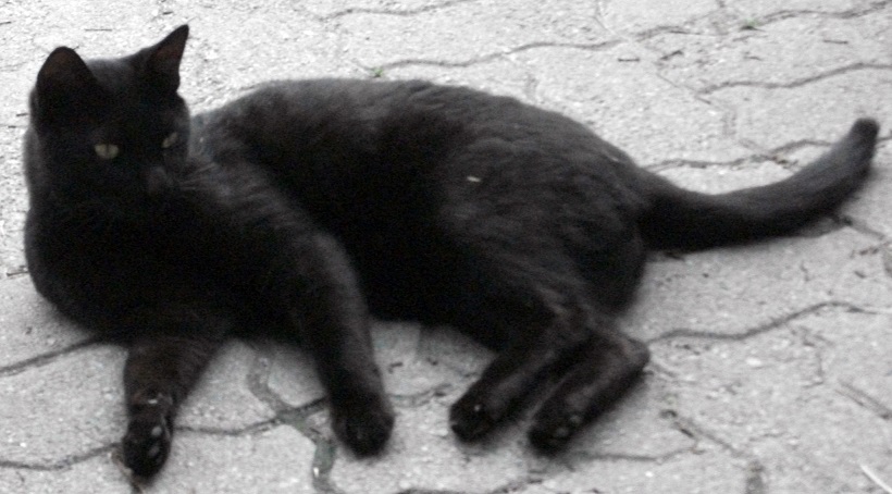 DSCF4984.JPG