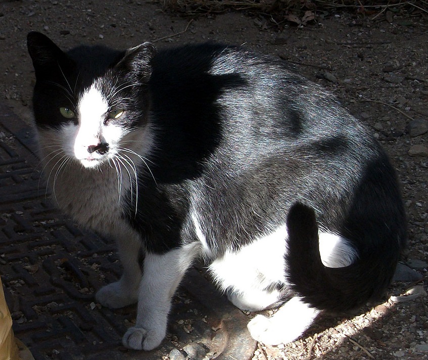 DSCF5261.JPG