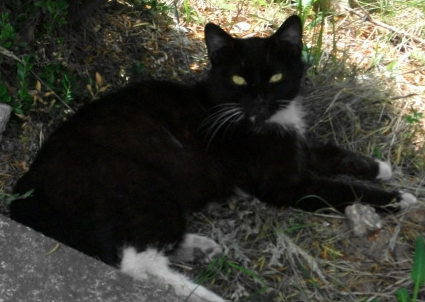DSCF2898.JPG