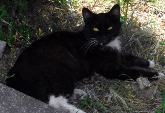 DSCF2899.JPG