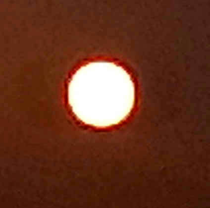 20190325_174852.jpg