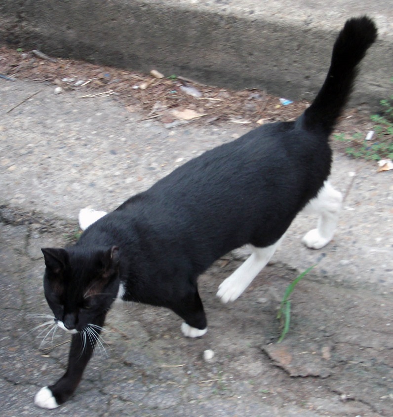DSCF7714.JPG
