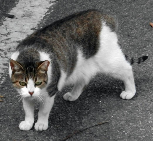 DSCF7801.JPG