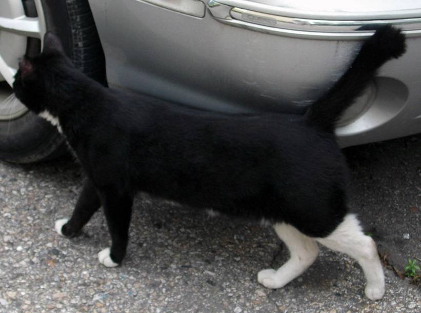 DSCF7715.JPG