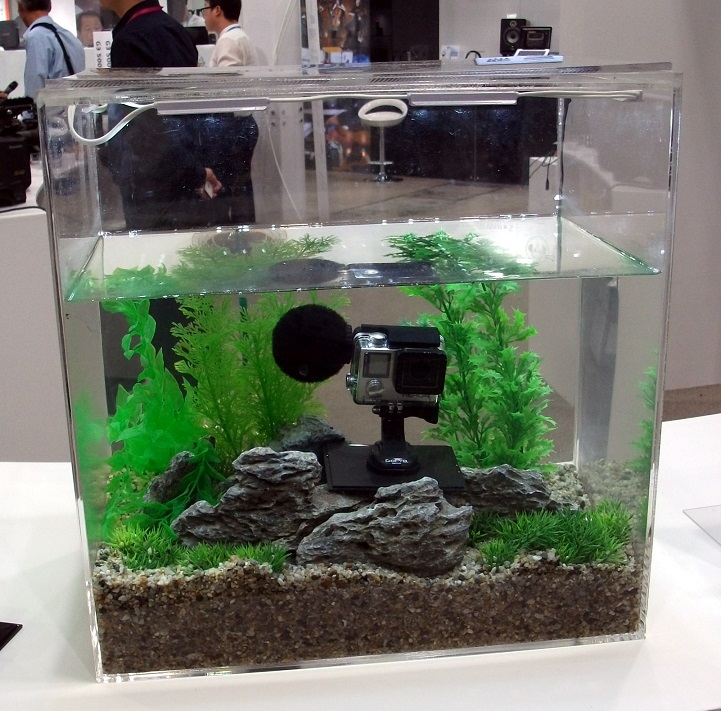 DSCF3609.JPG