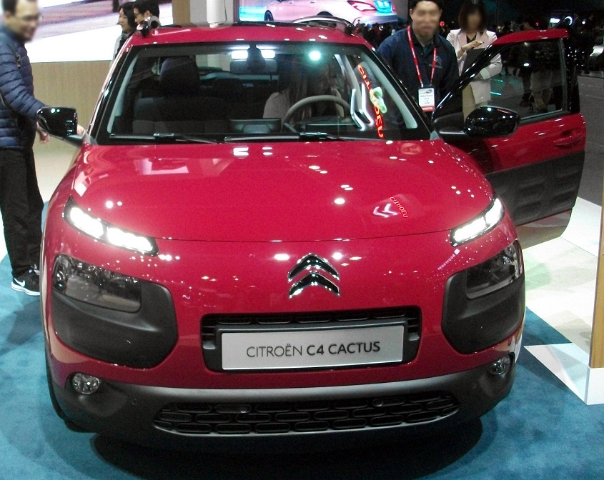 DSCF9451.JPG