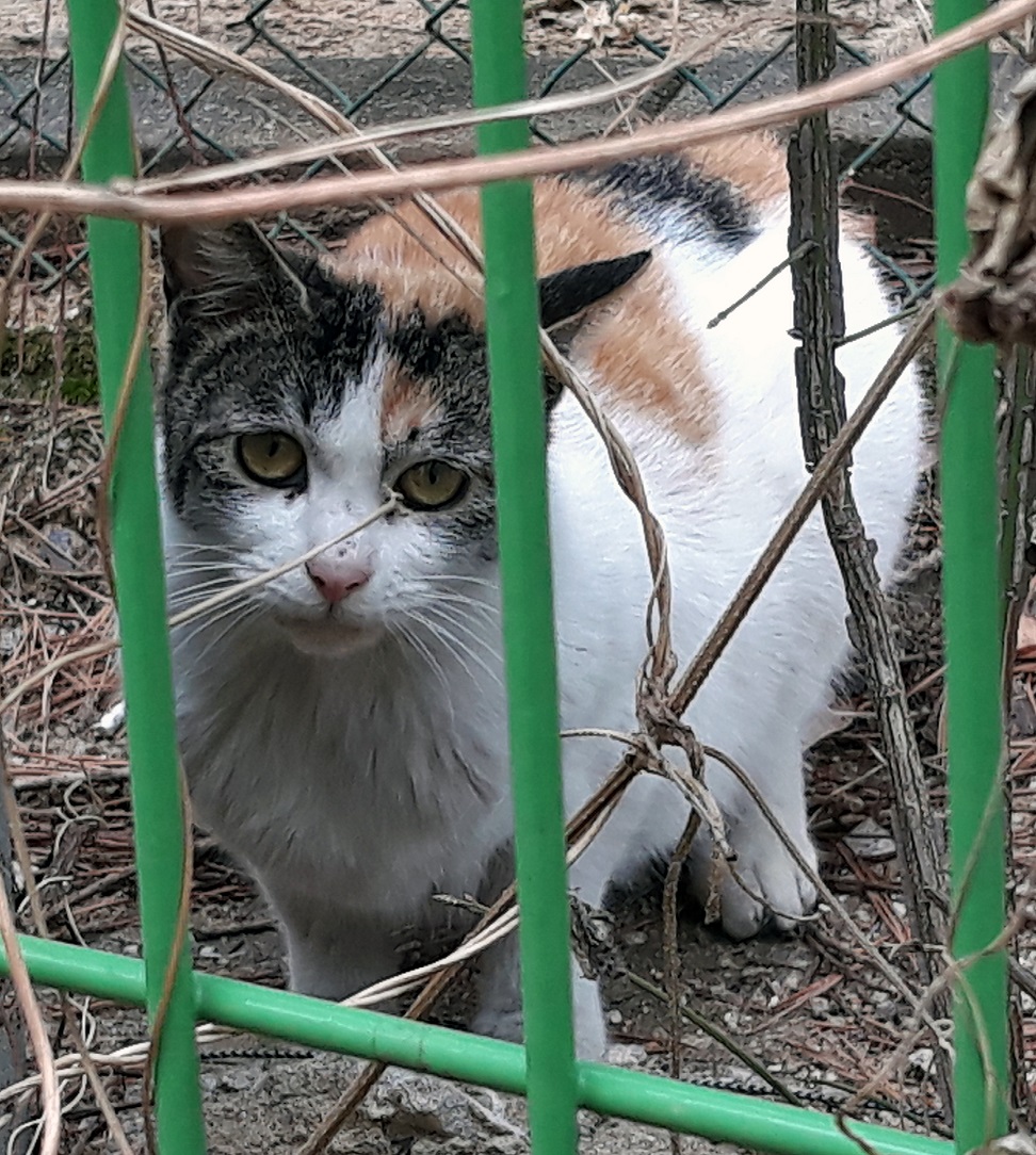 20190316_113231.jpg