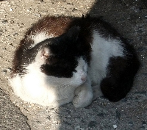 DSCF3856.JPG