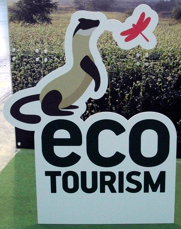 DSCF2212.JPG
