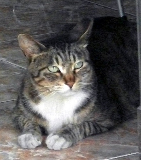 DSCF3858.JPG