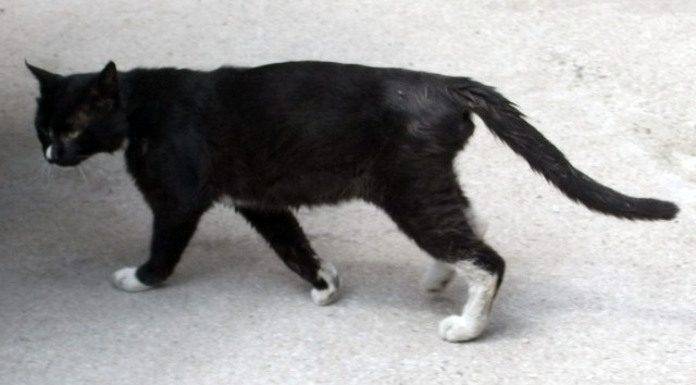 DSCF9509.JPG