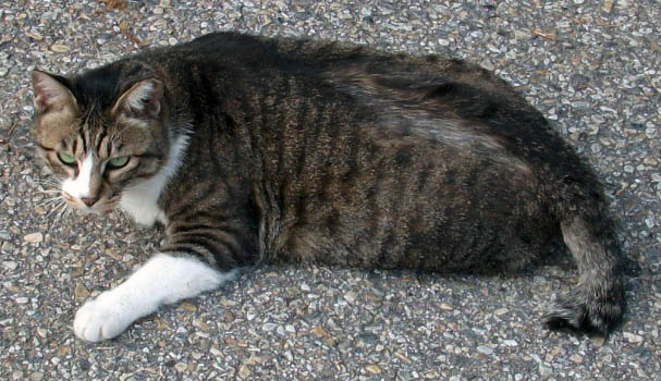 DSCF7798.JPG