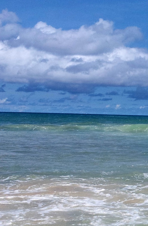 20130903_104854.jpg
