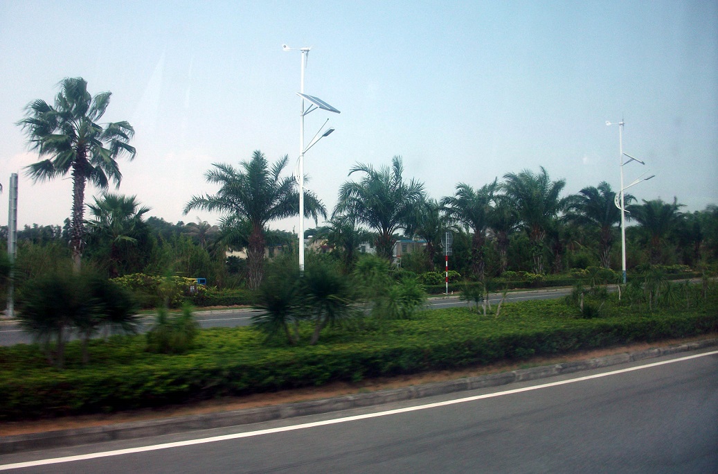 DSCF8504.JPG