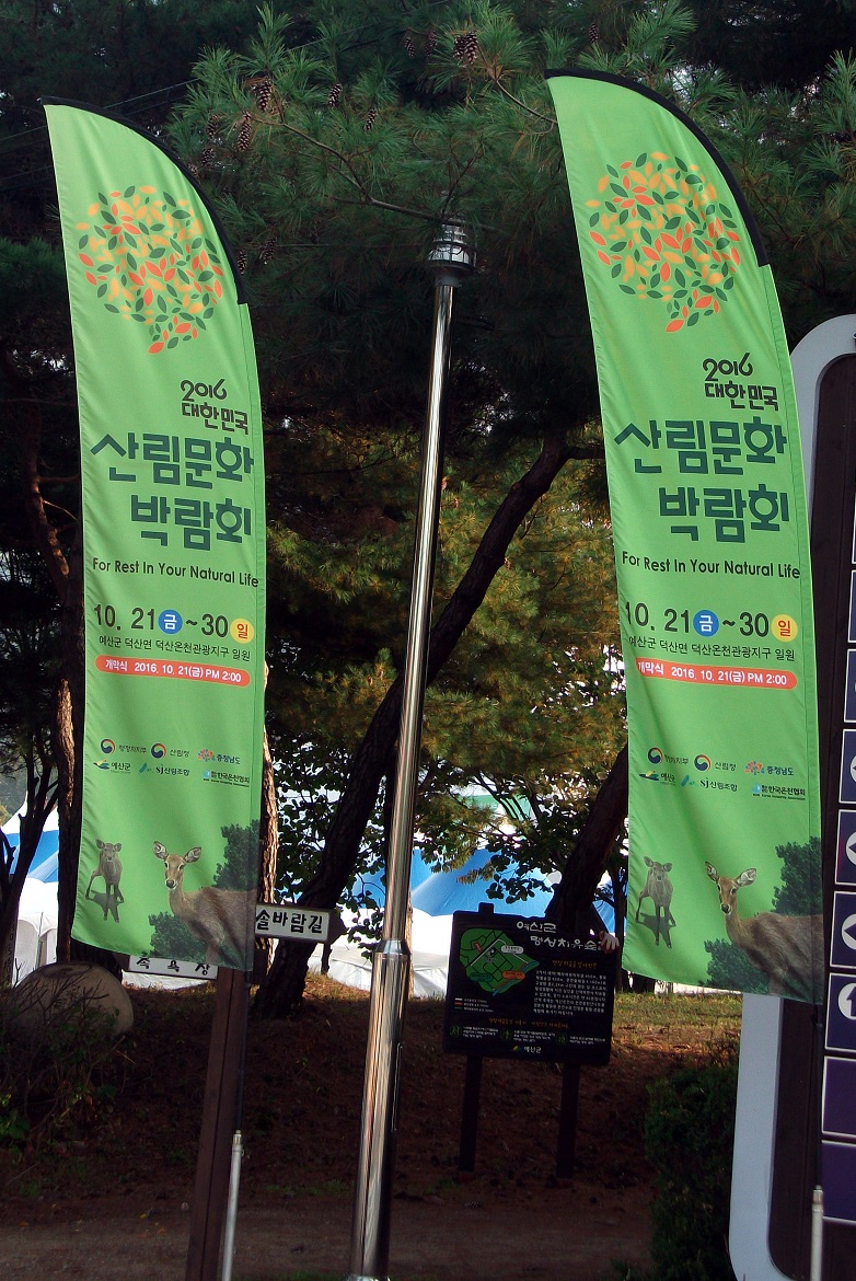 DSCF5164.JPG