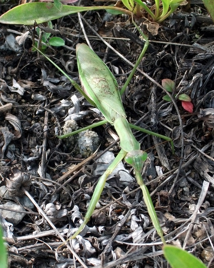 DSCF1821.JPG