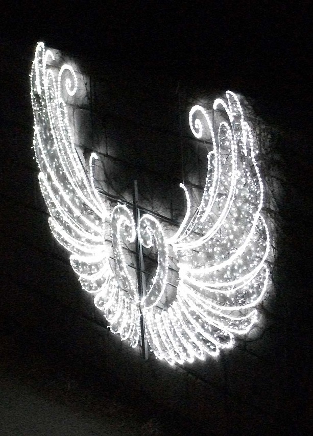 DSCF5152.JPG
