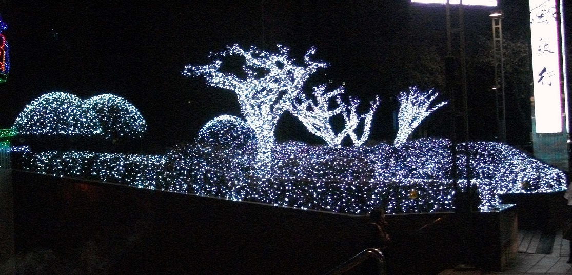 DSCF5156.JPG