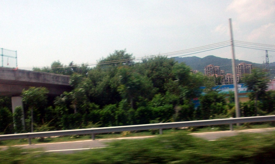 DSCF8593.JPG