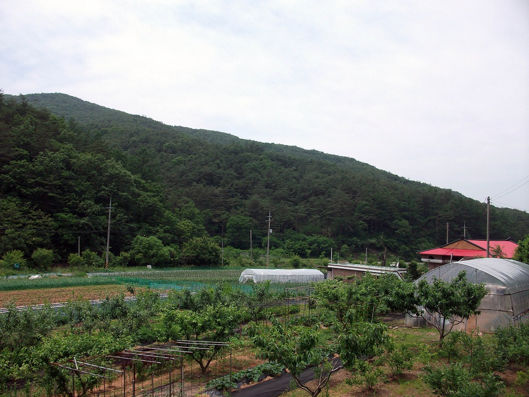 DSCF1053.JPG