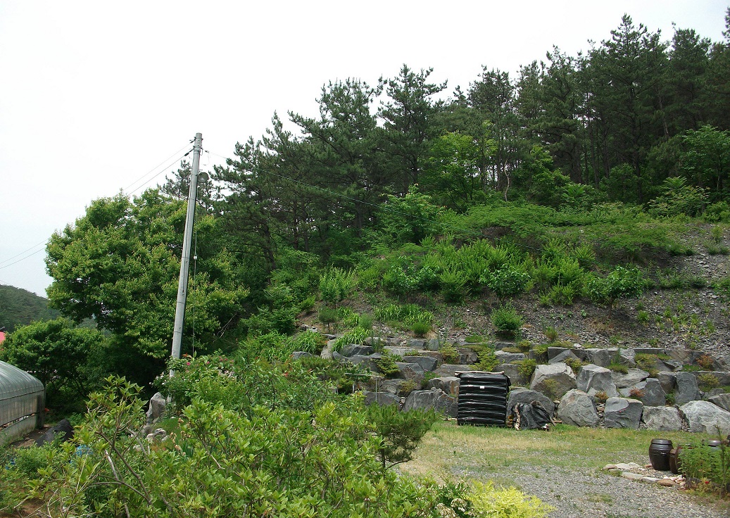 DSCF1055.JPG