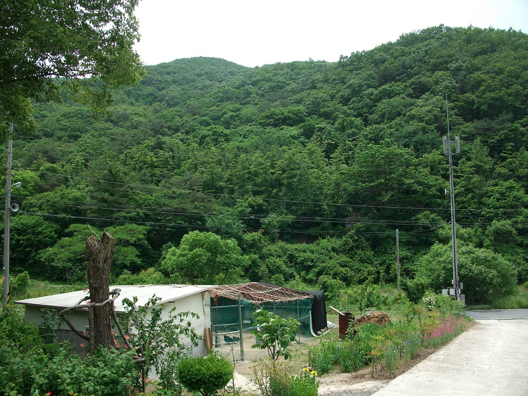 DSCF1054.JPG