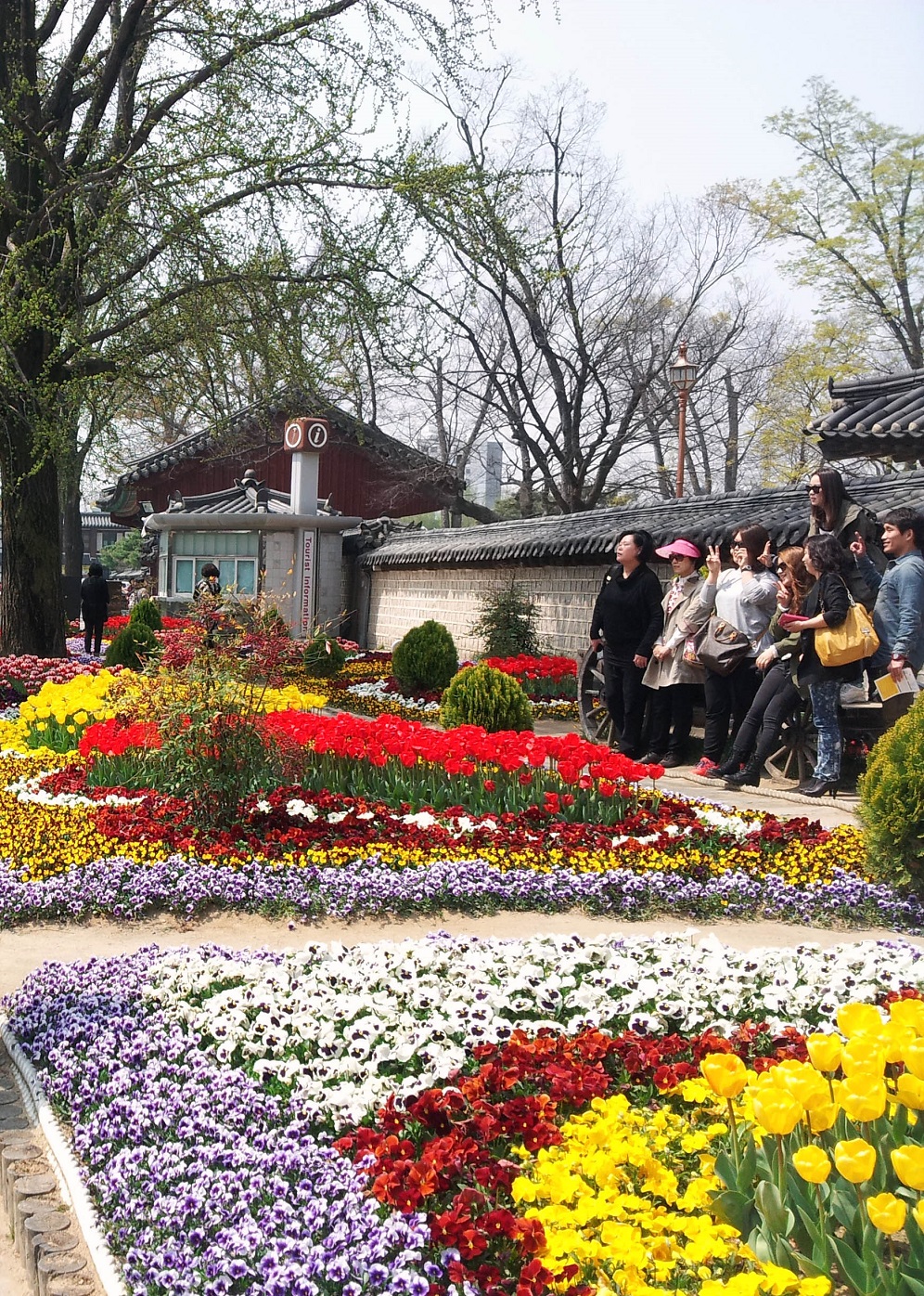 20140409_125826.jpg