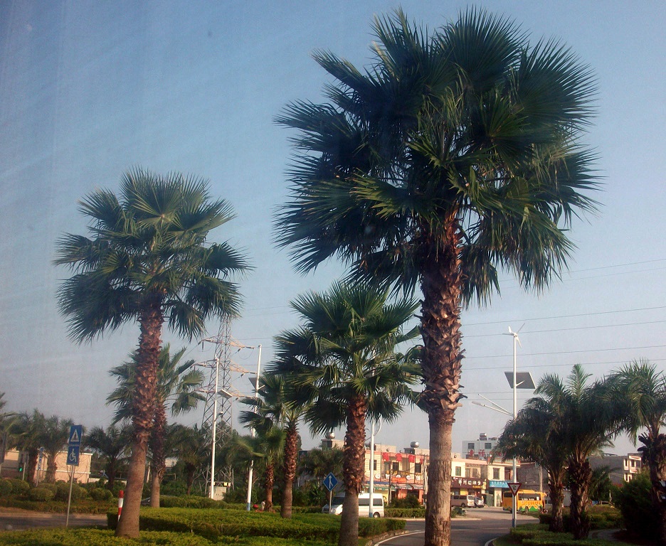 DSCF8639.JPG