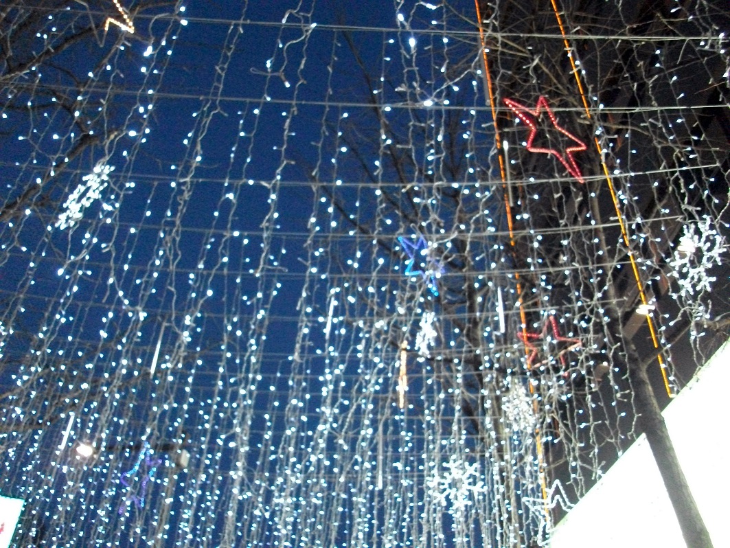 DSCF6584.JPG