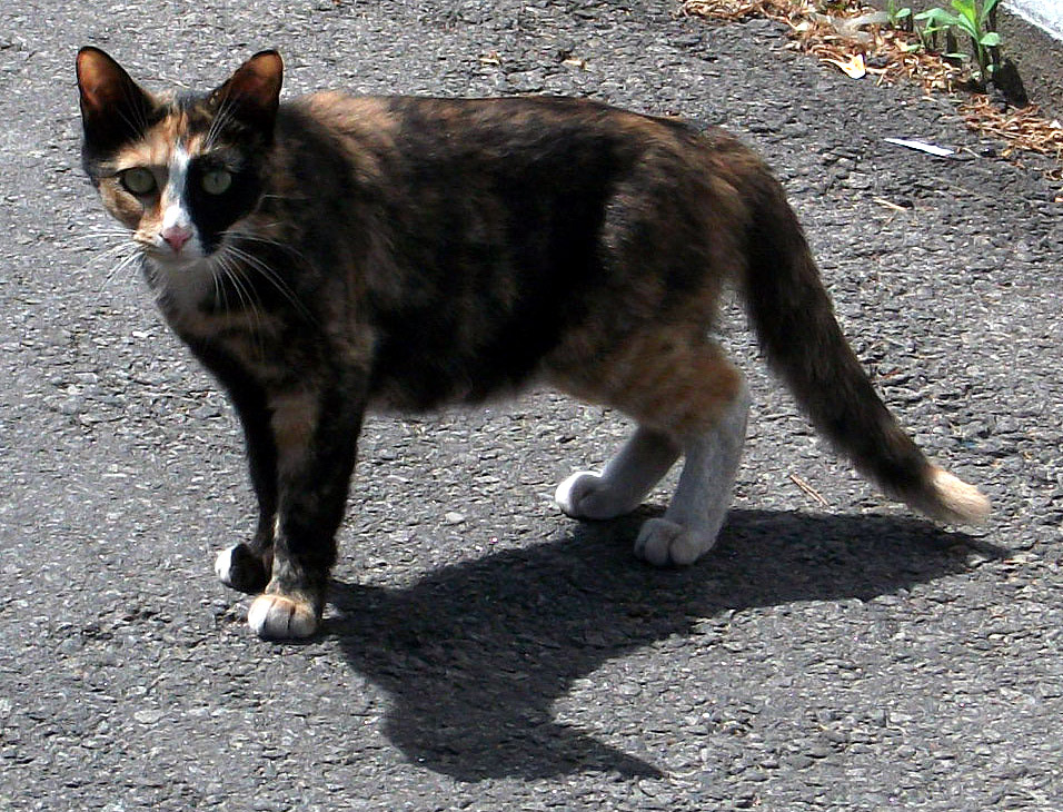 DSCF3873.JPG