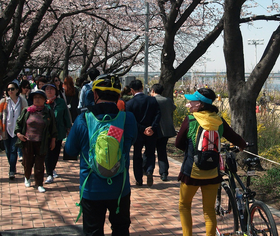 DSCF8439.JPG