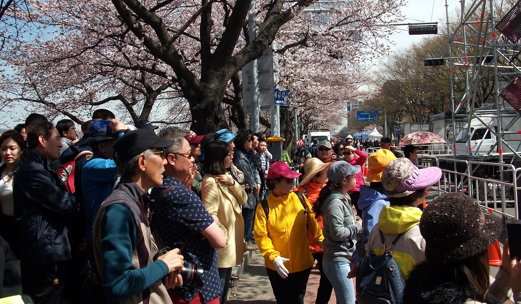DSCF8448.JPG