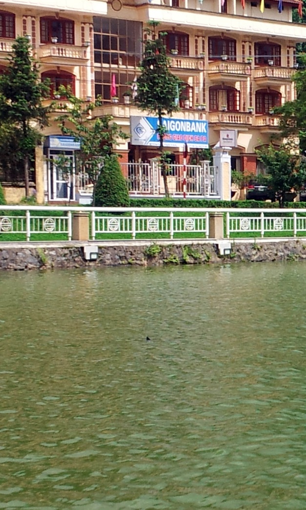 20130606_142134.jpg