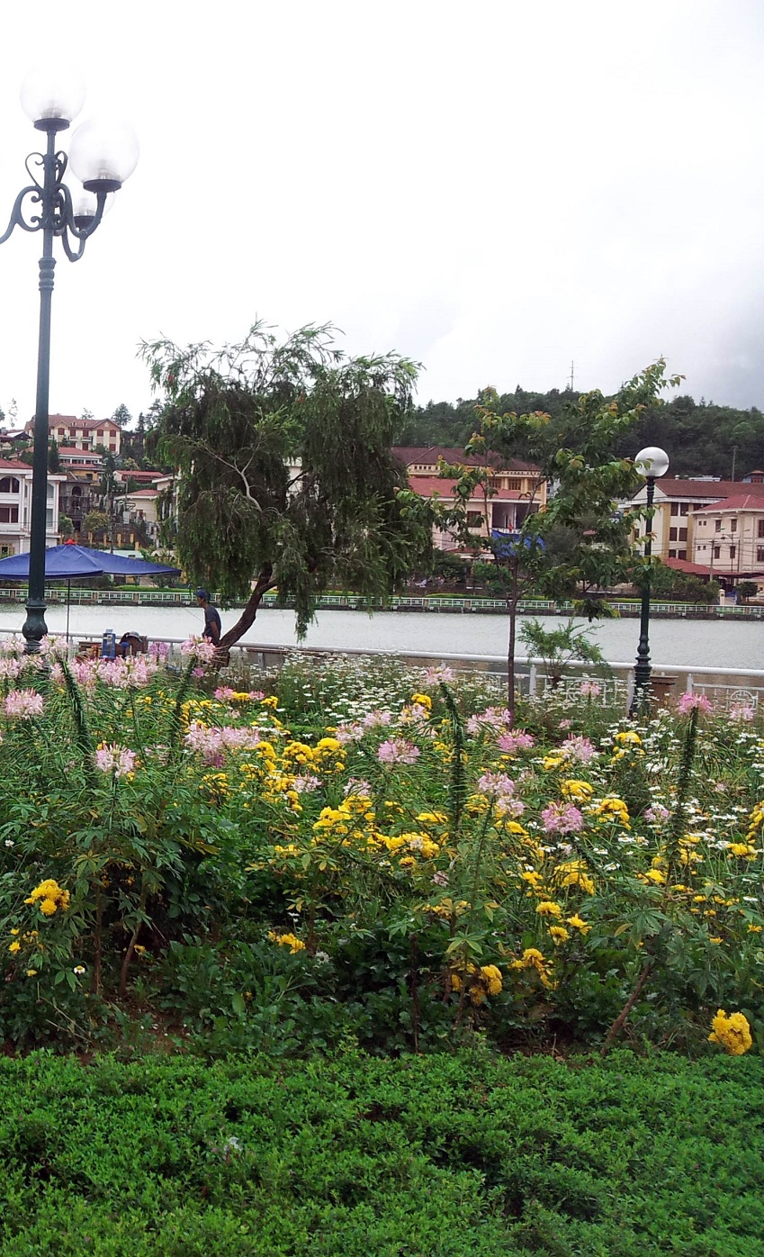 20130606_140654.jpg