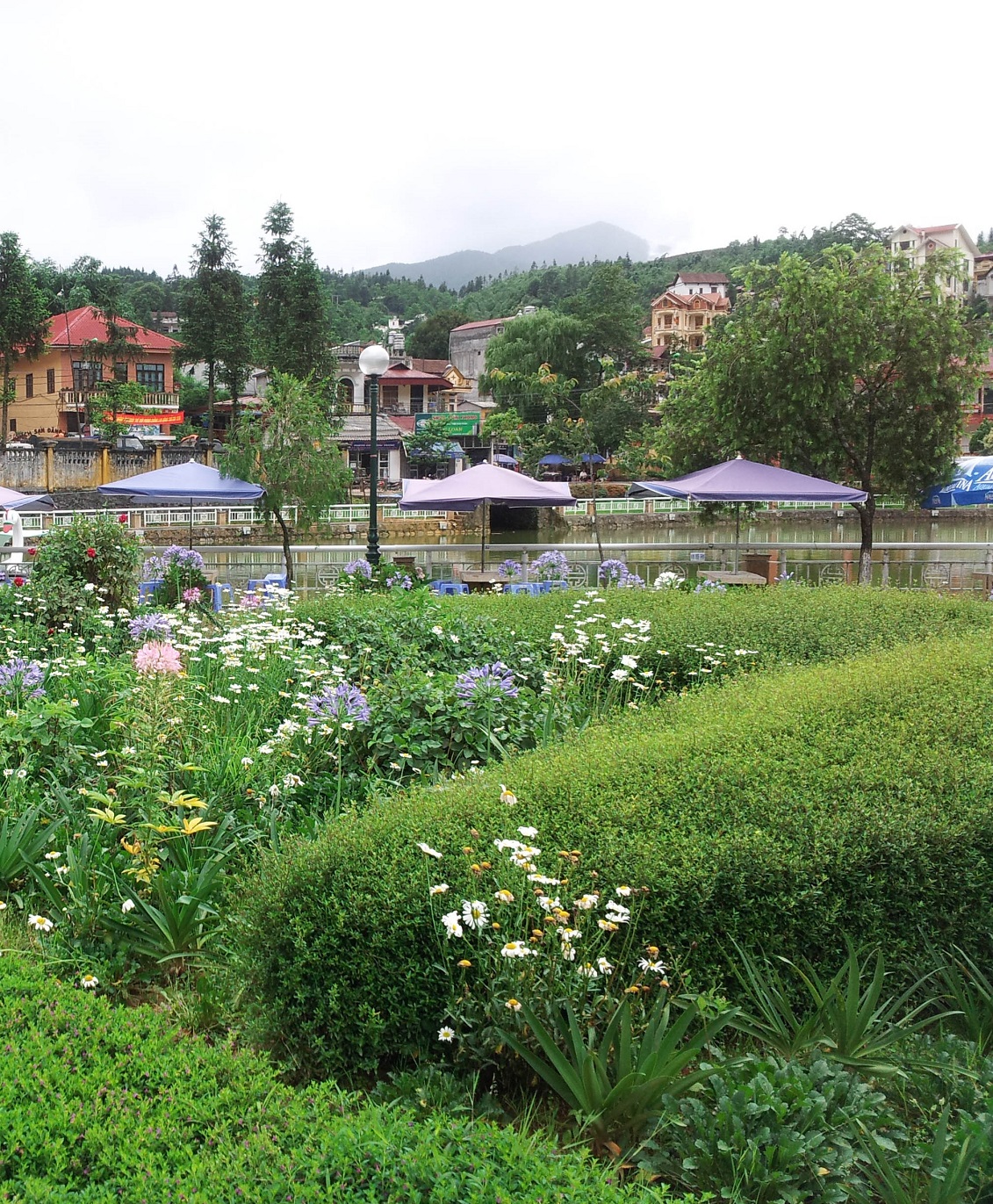 20130606_140456.jpg