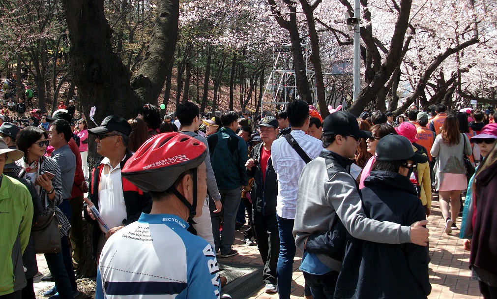 DSCF8450.JPG