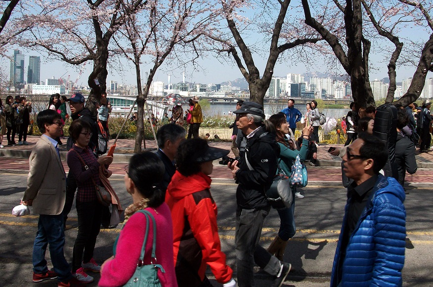 DSCF8453.JPG