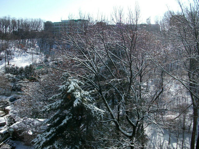 DSCF0976.JPG