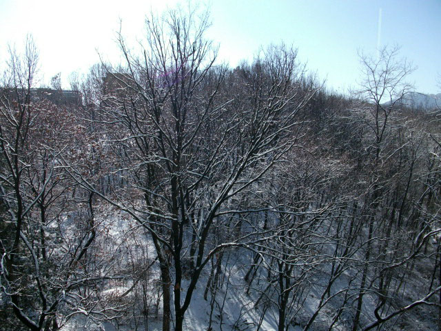 DSCF0977.JPG