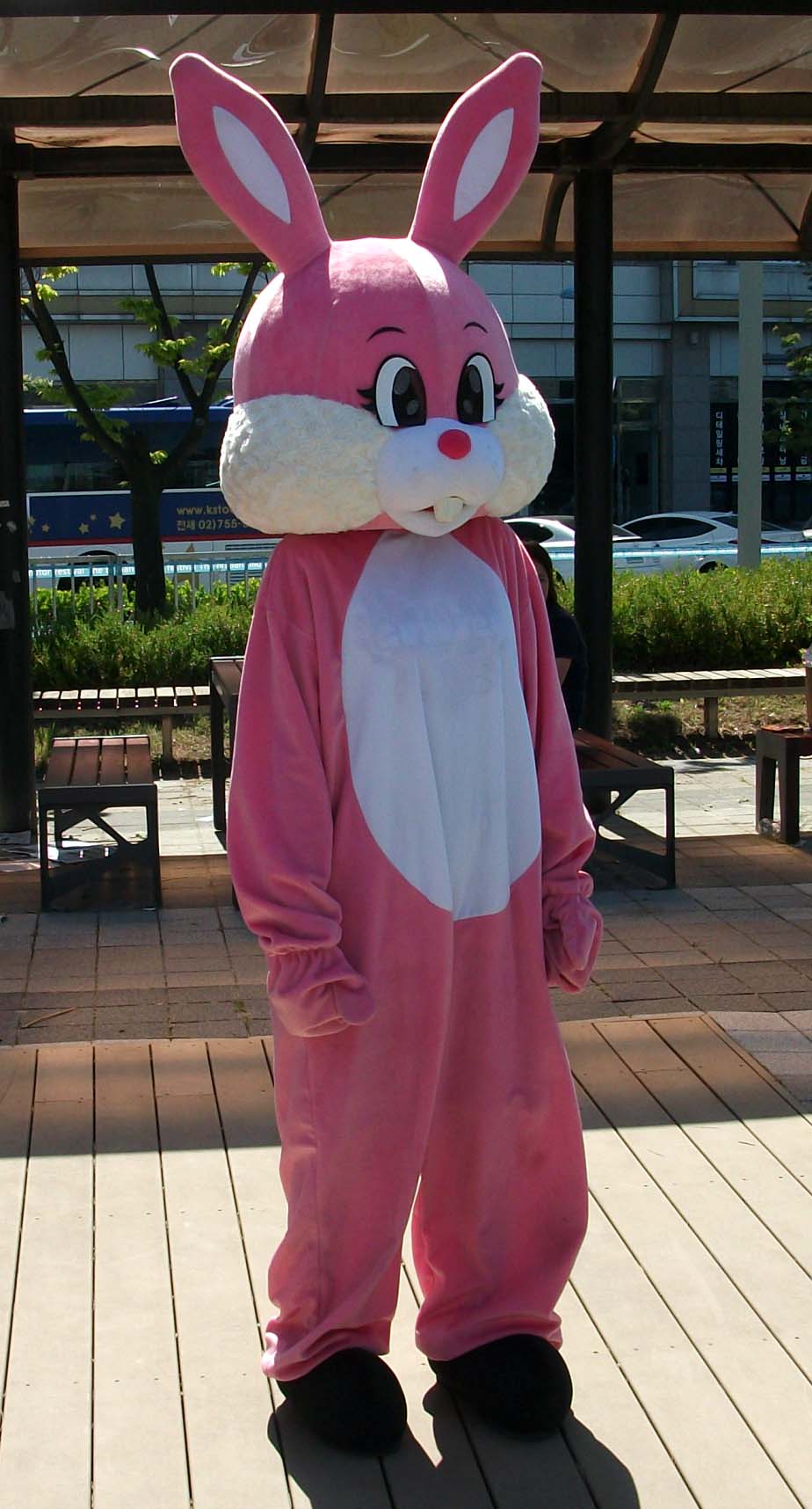 DSCF3236.JPG