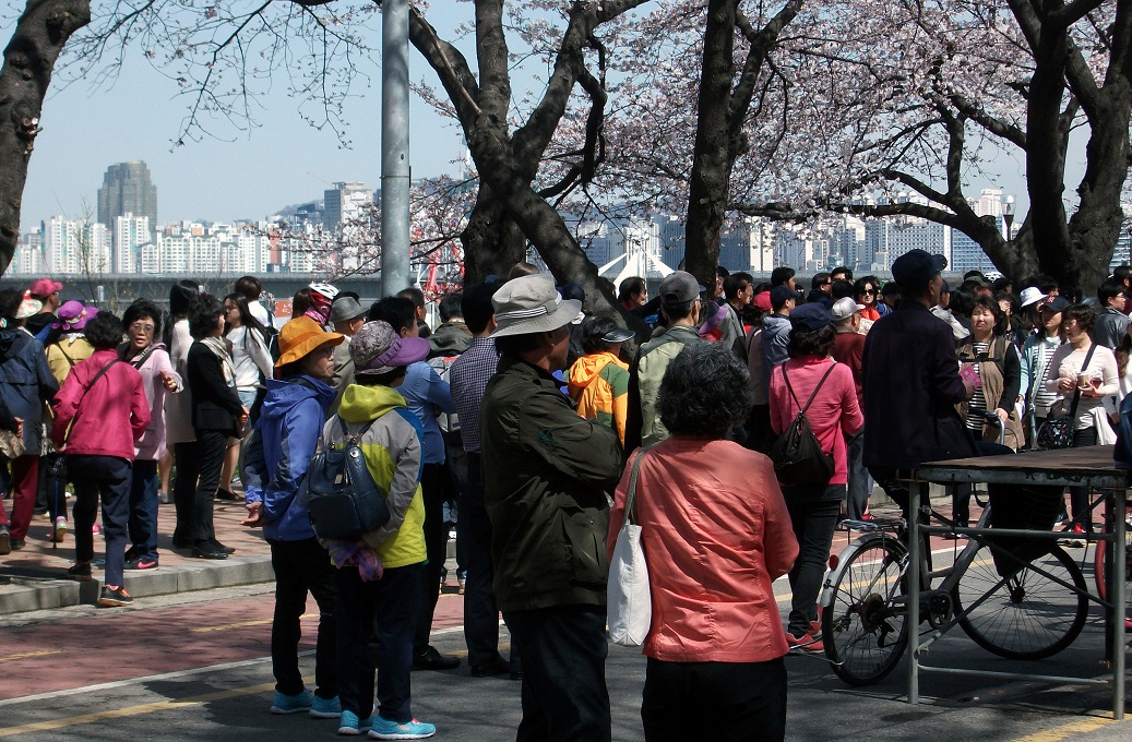 DSCF8456.JPG